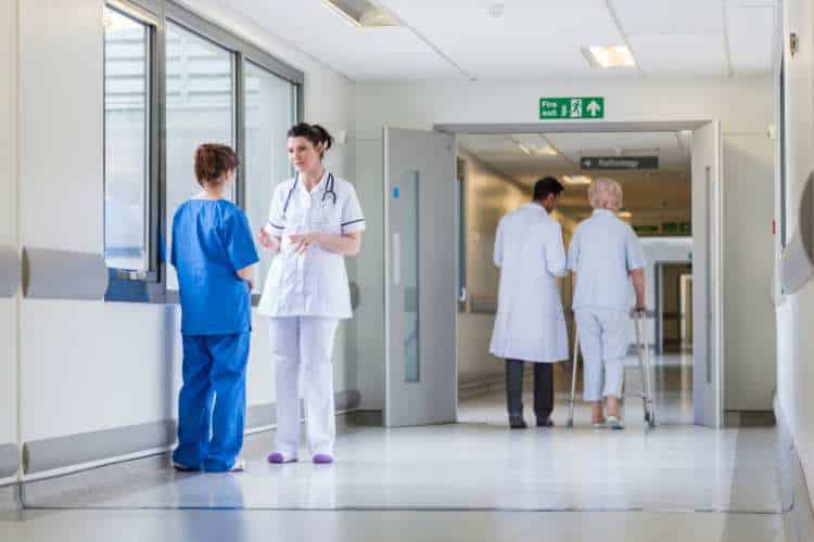 controle de pragas em hospitais