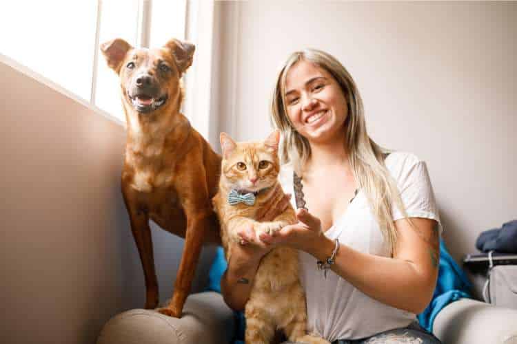 dedetização com animais de estimação em casa