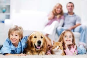 como proteger seus pets durante o controle de pragas